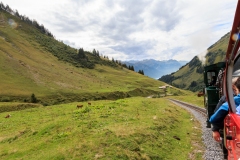 IMG_2252-Copy