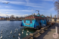 IMG_3014-Copy-3