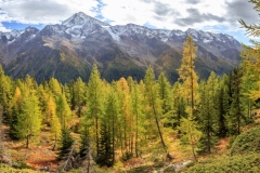 1_IMG_2372-Pano