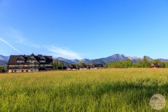 View on the High Tatras from Campsite Willa Skoczek